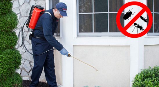 Osmancık Hamam Böceği İlaçlama böcek ilaçlama ve haşere kontrolü — ilaclama-tr.com